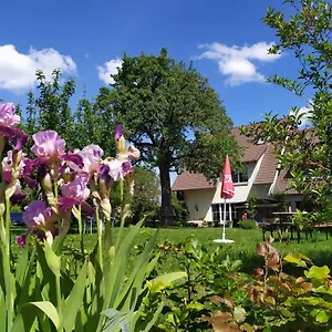 Gasthof Landgasthof Zum Rappen, Creglingen